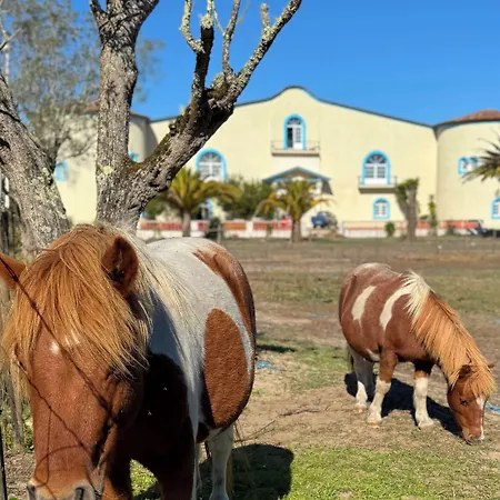 Herdade Real 4*